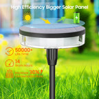 Solar Swaying Garden Lights