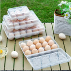 Portable Egg Storage Box Fridge Egg Holder