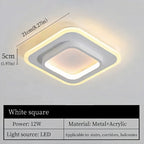 Nordic Creative LED Ceiling Light Modern Luxury Lamp