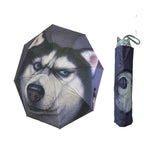 Buy Blue Sky Clouds Folding Umbrella UV Protection Parasol