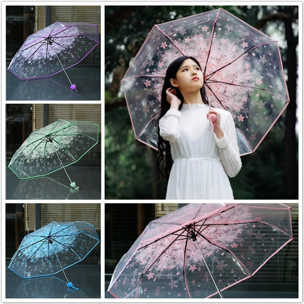 Buy Cherry Blossom Transparent Umbrella