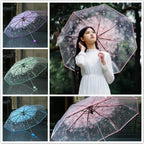 Buy Cherry Blossom Transparent Umbrella