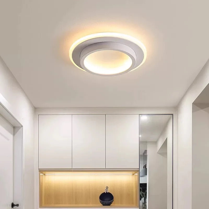 Nordic Creative LED Ceiling Light Modern Luxury Lamp