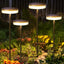 Solar Swaying Garden Lights