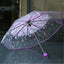 Buy Cherry Blossom Transparent Umbrella