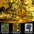 Solar Ivy Fairy Lights 50/100 LED Garden Garland