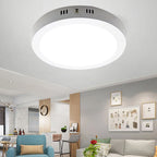 Ultra Thin LED Ceiling Lamp for Bedroom & Living Room
