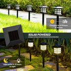 2 Pack Solar Pathway Lights